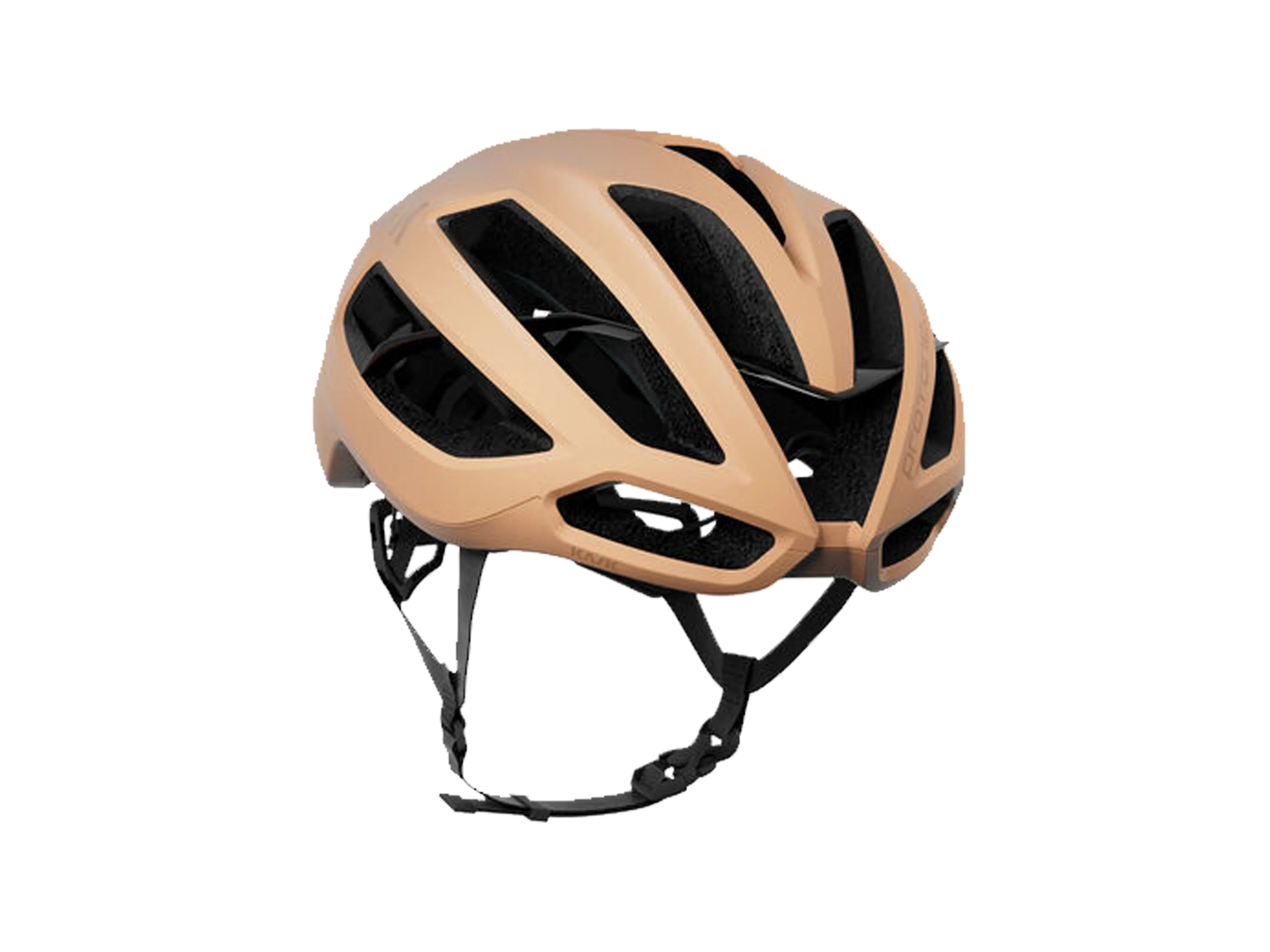 Protone Icon - Image 22