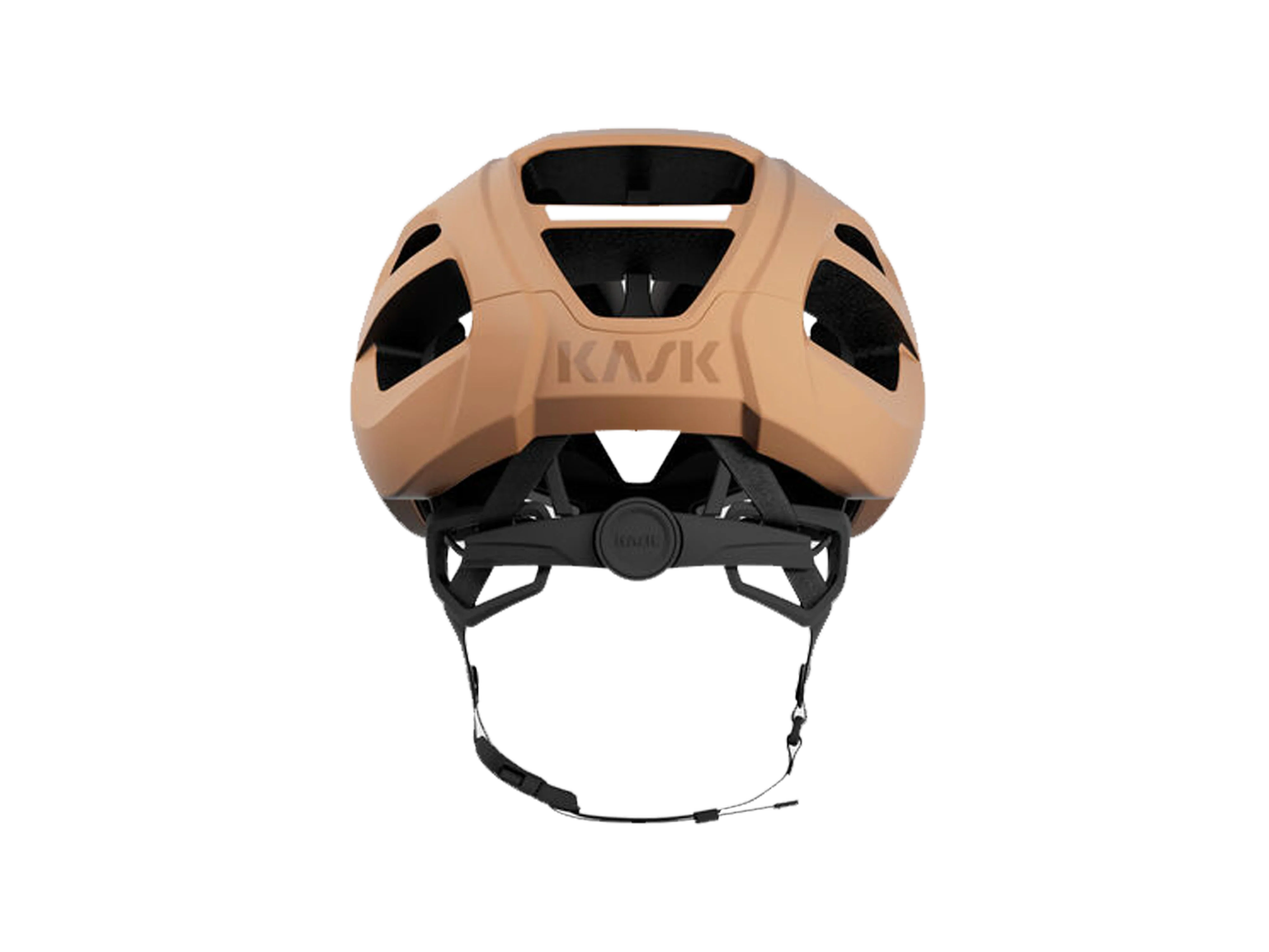 Protone Icon - Image 23