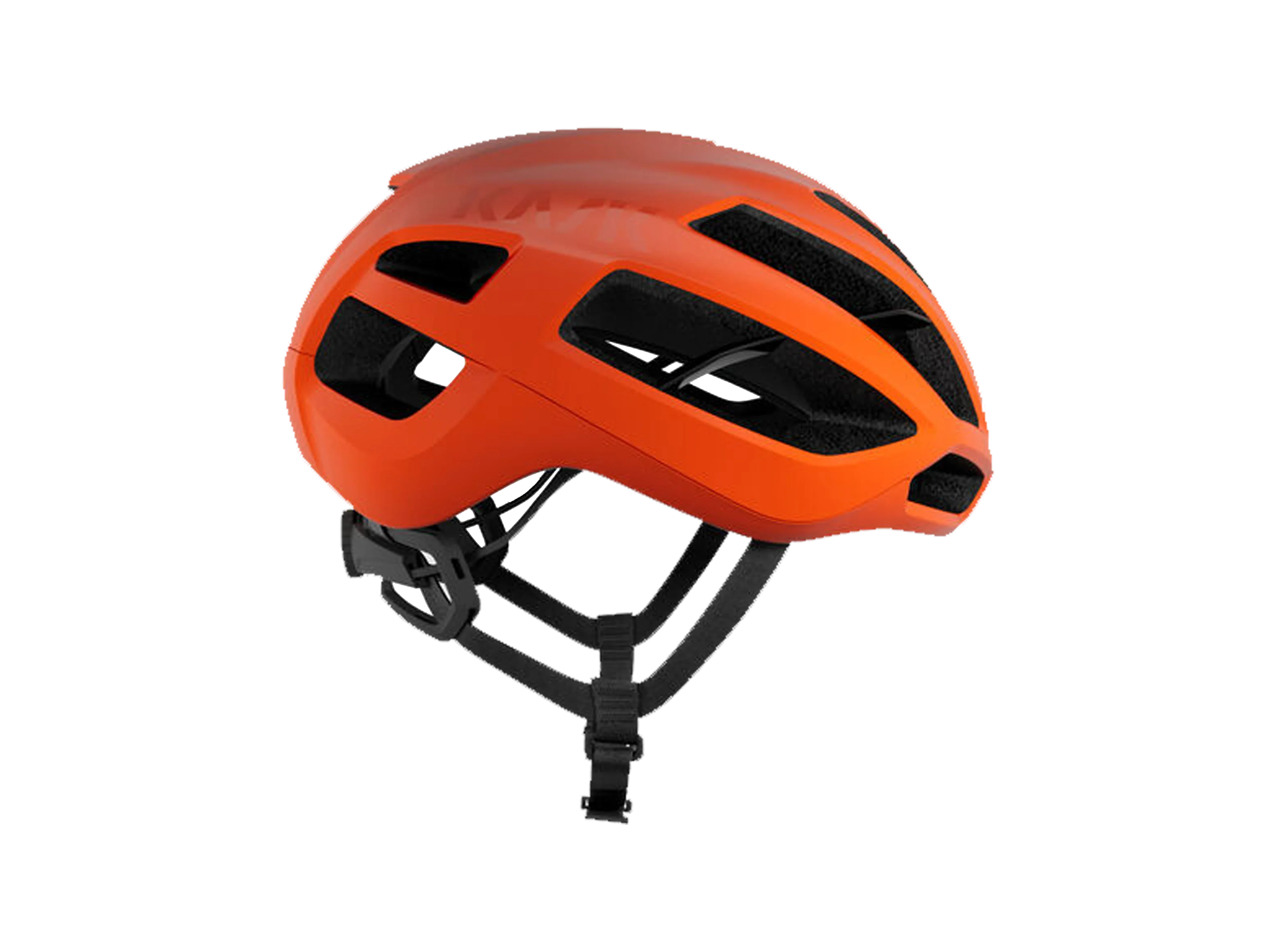Protone Icon - Image 27