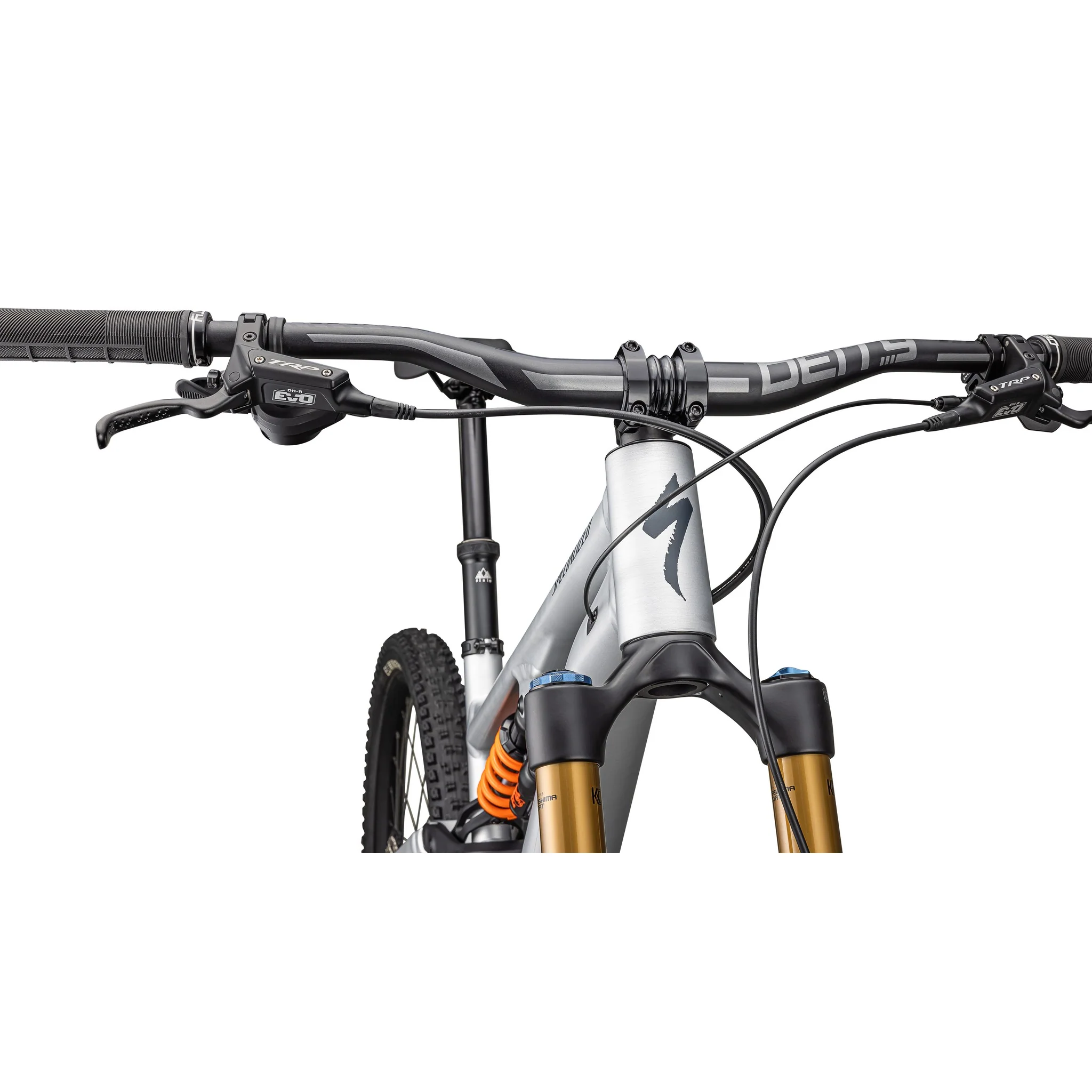 Stumpjumper 15 Fox Coil Alloy - Image 6